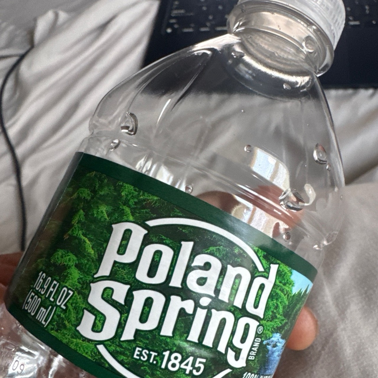 Polar Spring